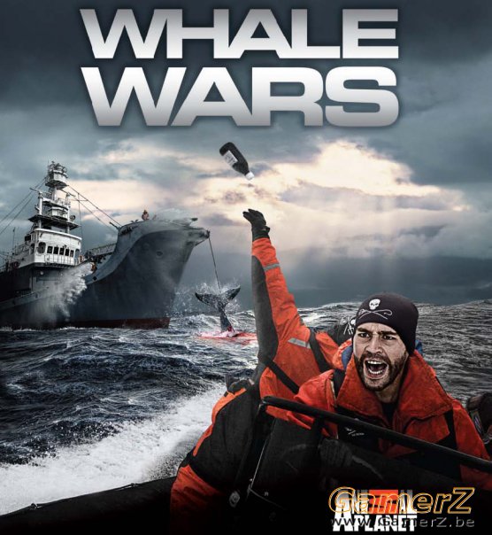 whale-wars.jpg