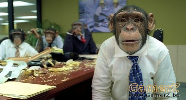 monkey-work.jpg