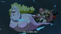 episode-306-one-piece-saison-9-VOSTFR-streaming.png