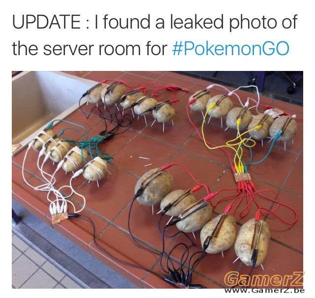 image.jpeg