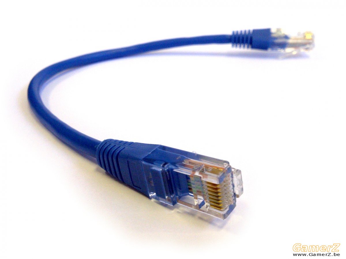 RJ45-Cat5-Patch-Cable.jpg