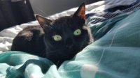 20170310_094203.jpg
