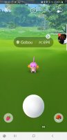 Screenshot_20190824-103349_Pokmon GO.jpg