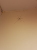IMG_20190924_092651.jpg