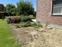 IMG_2702.jpeg