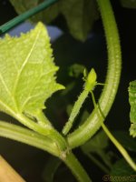 IMG_20220617_222038.jpg