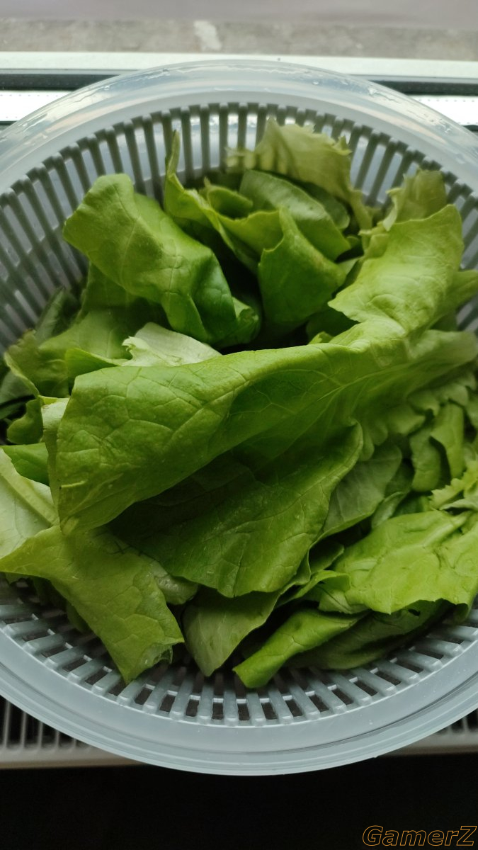 IMG-20220721-WA0001.jpeg
