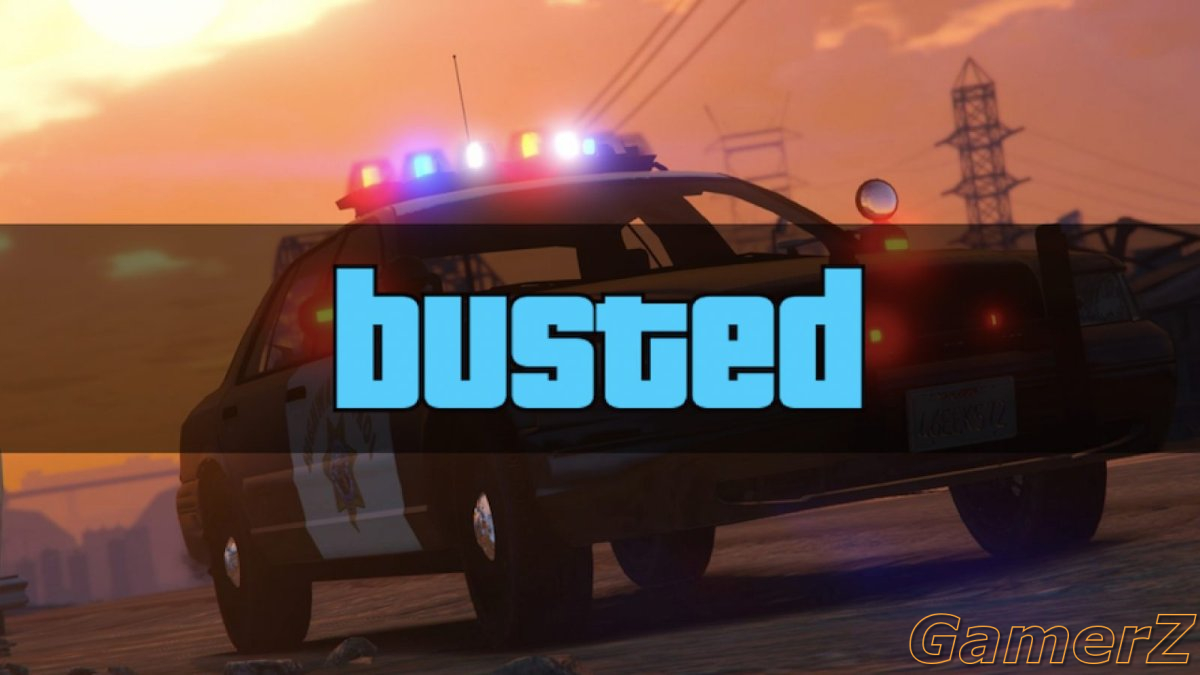 GTA-V-cheater-busted-and-fined-150000.jpg