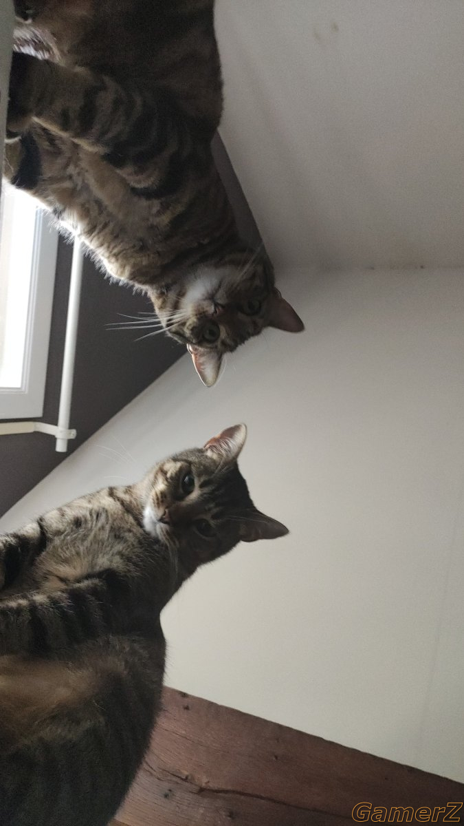 IMG-20240808-WA0000.jpeg
