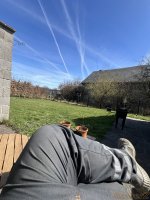 IMG_4337.jpeg