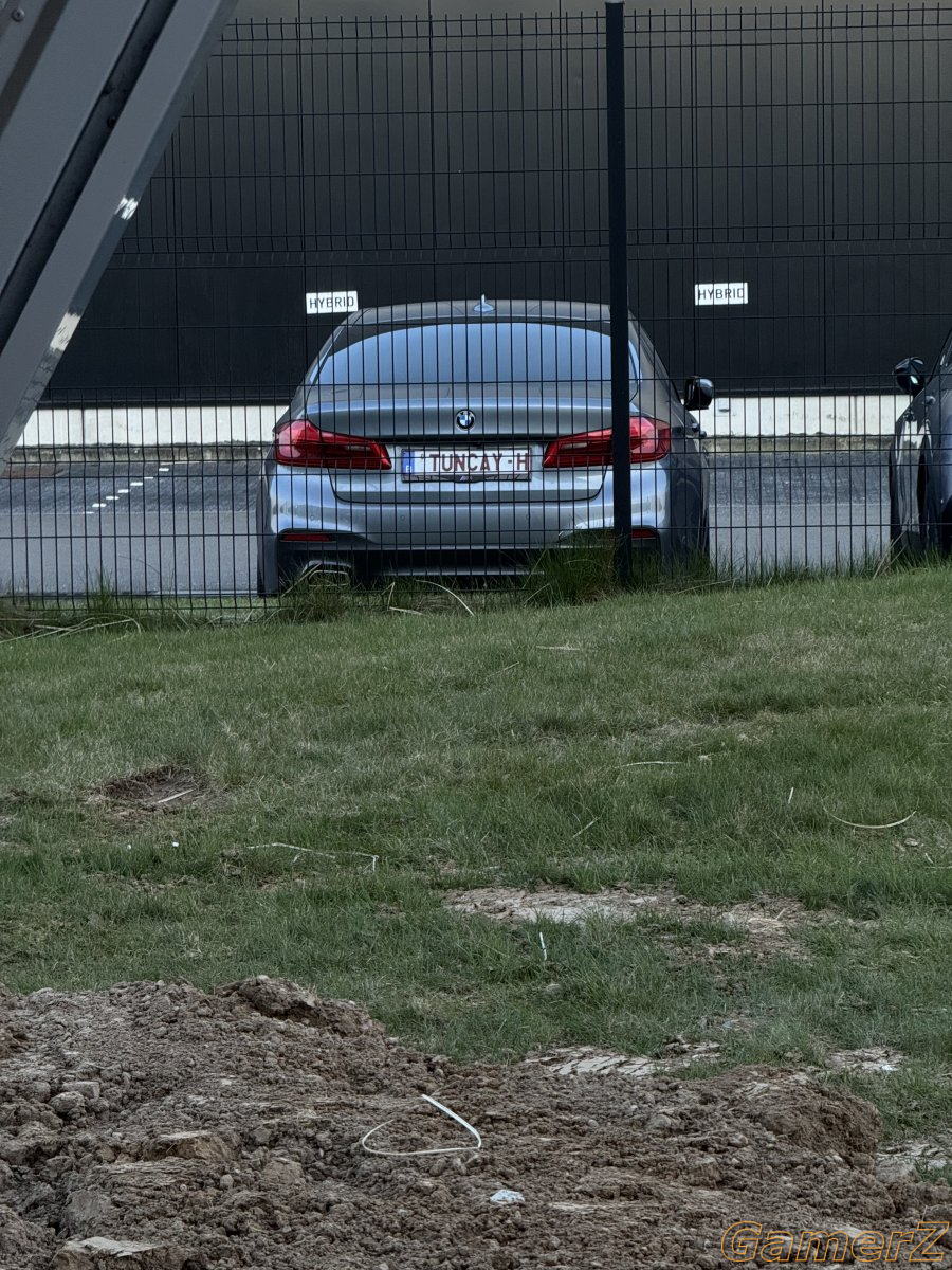 IMG_0955.jpeg