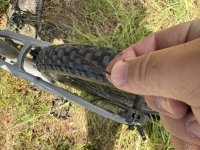 IMG_5214.JPEG