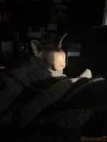 IMG_3013.jpeg