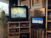 IMG_5313.JPEG