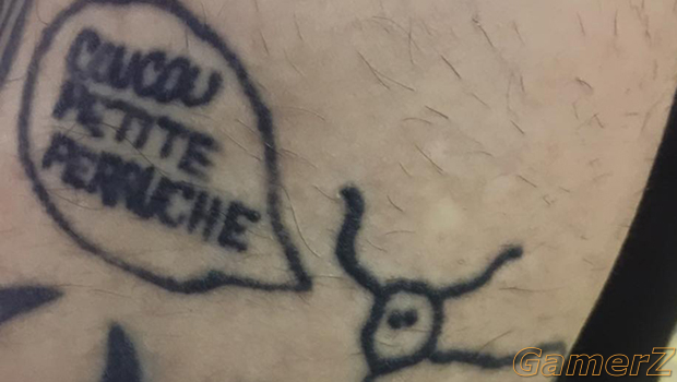 coucou-petite-perruche.jpg