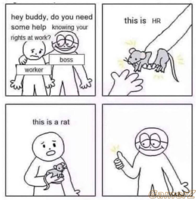 1000027859.jpg