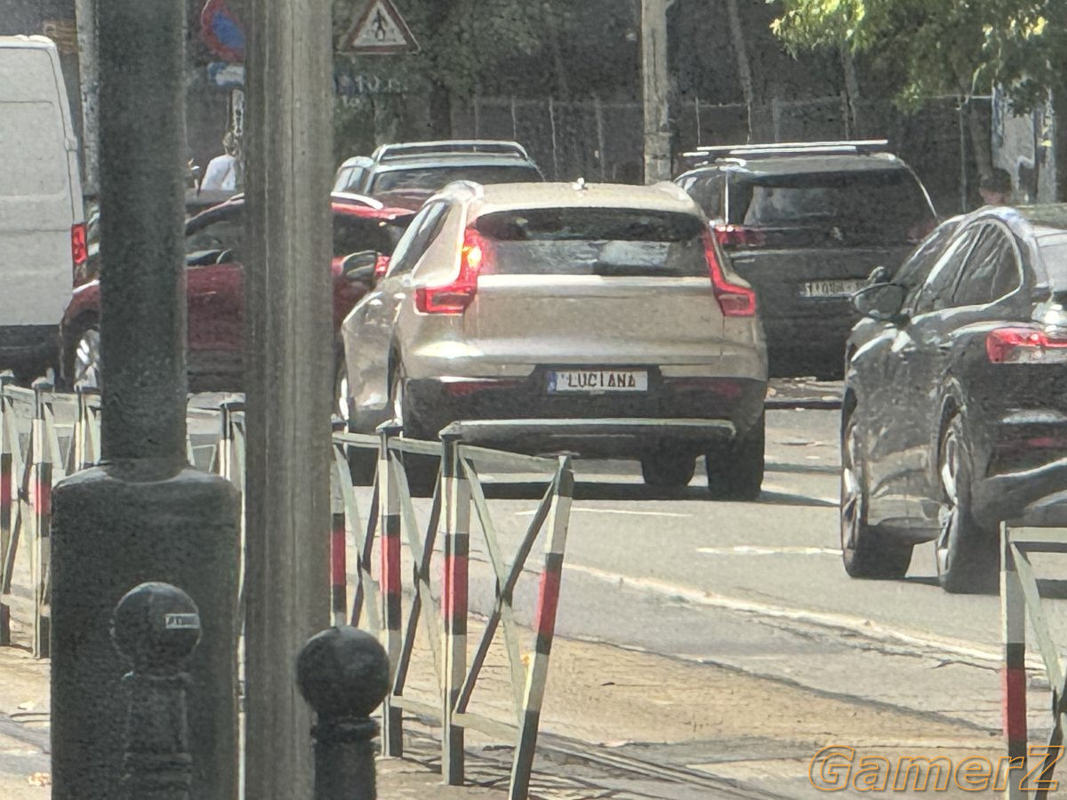 IMG_2965.jpeg