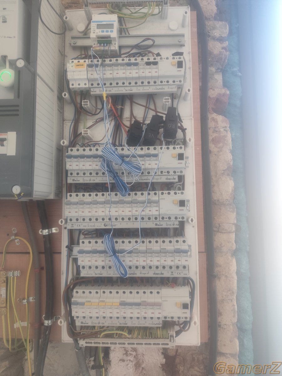1000010263.jpg