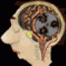 Braincooler