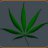 smoka