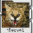 *Serval