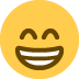 Beaming face with smiling eyes :grin: 😁