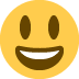 Grinning face with big eyes :smiley: 😃