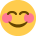 Smiling face with smiling eyes :blush: 😊